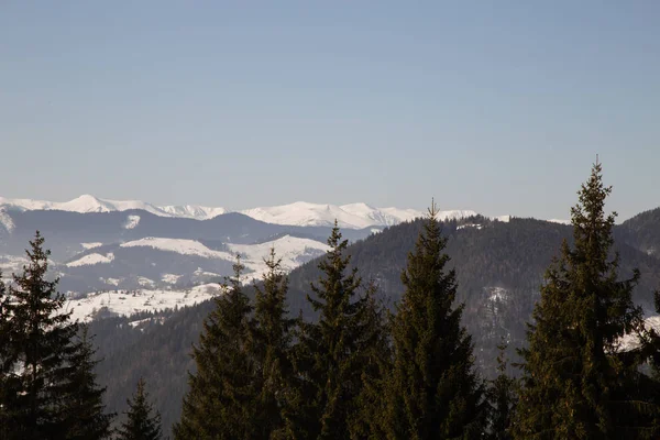 Paisaje Escénico Las Montañas Cerca Verhovyna Durante Día — Foto de Stock