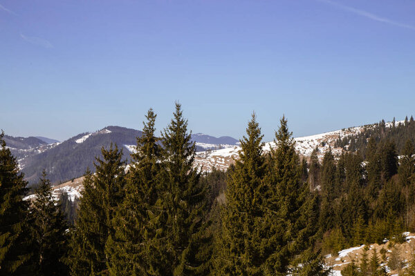 scenic landscape of mountains near Verhovyna at daytime