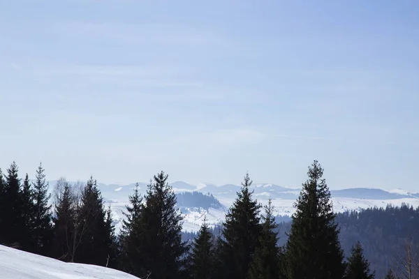 Paisaje Escénico Las Montañas Cerca Verhovyna Durante Día — Foto de Stock