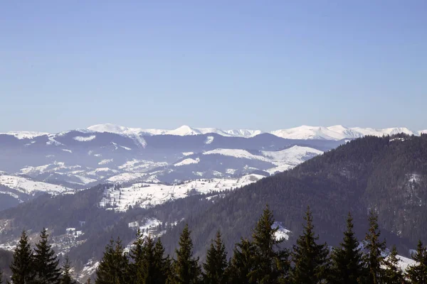 Pintoresca Vista Las Montañas Cerca Verhovyna Temporada Invierno — Foto de Stock