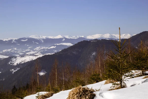 Pintoresca Vista Las Montañas Cerca Verhovyna Temporada Invierno — Foto de Stock