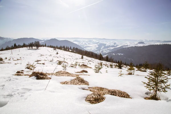 Vista Las Montañas Cubiertas Nieve Durante Día Verhovyna — Foto de Stock