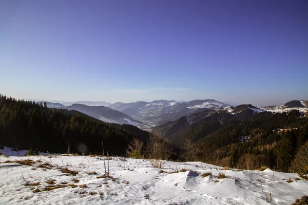Blick Auf Schneebedeckte Berge Tag Verhovyna — Stockfoto
