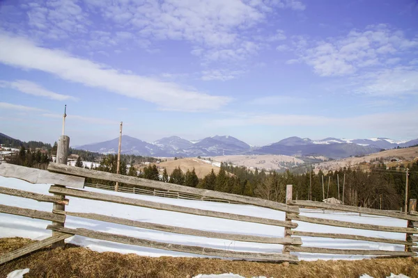 Vista Sulle Colline Innevate Vicino Villaggio Verhovyna — Foto Stock