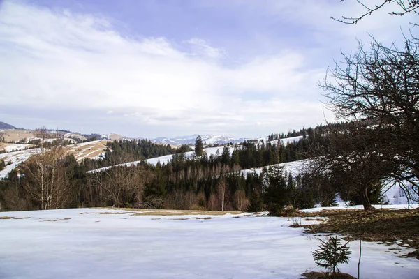 Vista Las Colinas Cubiertas Nieve Cerca Del Pueblo Verhovyna — Foto de Stock