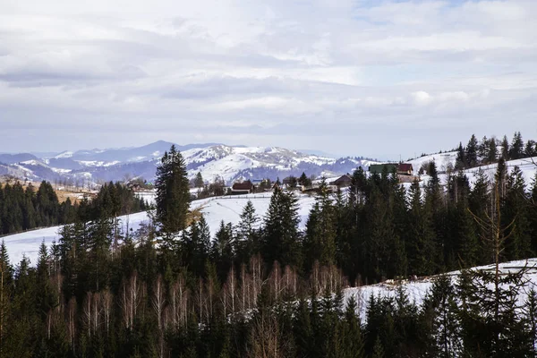 Перегляд Сніг Покриті Пагорбів Неподалік Села Верховина — стокове фото
