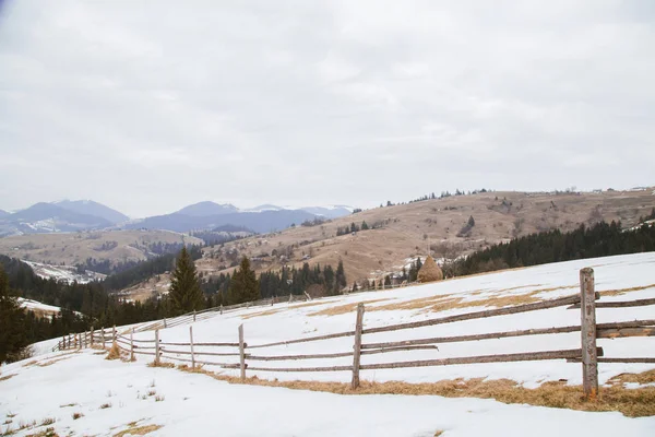 Vista Las Colinas Cubiertas Nieve Cerca Del Pueblo Verhovyna — Foto de Stock