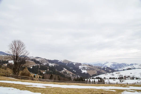 Tepeler Verhovyna Köyü Yakınındaki Görünümü Kar Kaplı — Stok fotoğraf
