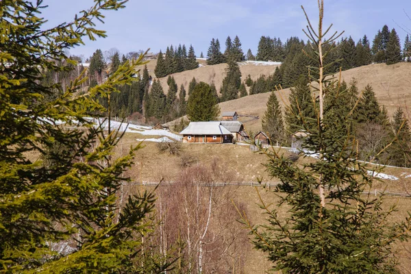 Vista Sulle Colline Innevate Vicino Villaggio Verhovyna — Foto Stock