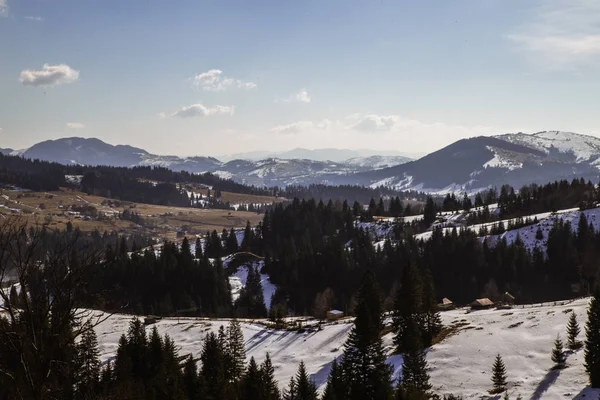 Vista Las Colinas Cubiertas Nieve Cerca Del Pueblo Verhovyna — Foto de Stock