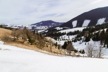 tepeler Verhovyna köyü yakınındaki görünümü kar kaplı