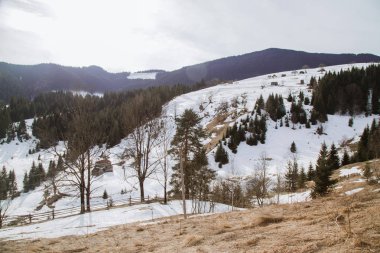 tepeler Verhovyna köyü yakınındaki görünümü kar kaplı