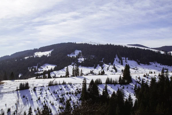 雪の覆われた Verhovyna の村の近くの丘 — ストック写真
