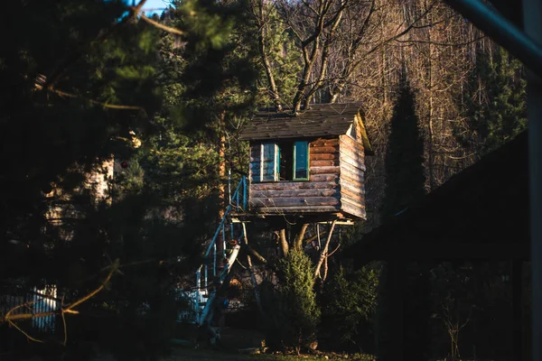 Vue Maison Bois Sur Arbre Village Yaremche — Photo