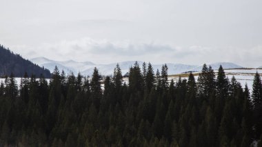 tepeler Verhovyna köyü yakınındaki görünümü kar kaplı