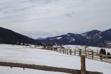 tepeler Verhovyna köyü yakınındaki görünümü kar kaplı