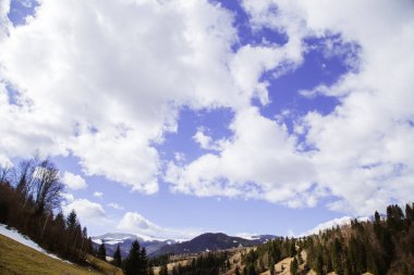doğal görünümü Hills yakınlarında Holovy Köyü, Ukrayna