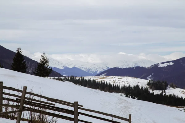 Blick Auf Schneebedeckte Hügel Der Nähe Von Verhovyna Dorf — Stockfoto