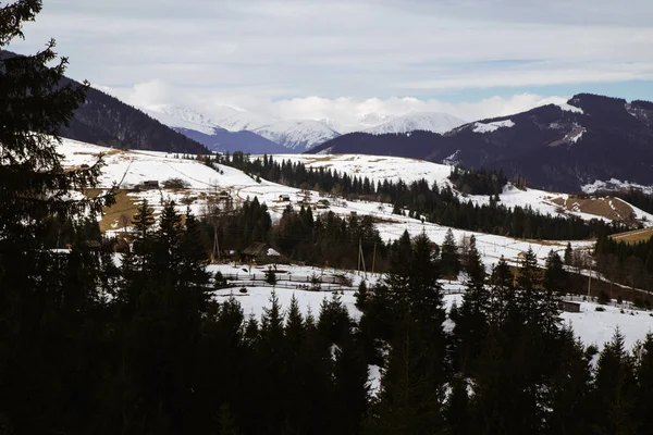 Widok Śniegu Objętych Wzgórza Pobliżu Miejscowości Verhovyna — Zdjęcie stockowe
