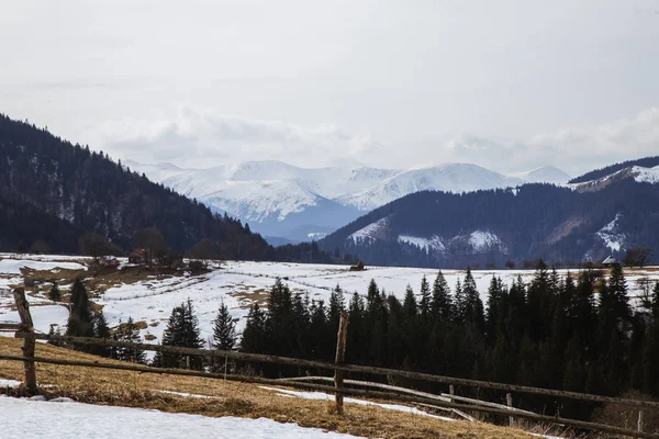 Pohled Sněhu Zahrnuty Kopci Nedaleko Vesnice Verhovyna — Stock fotografie