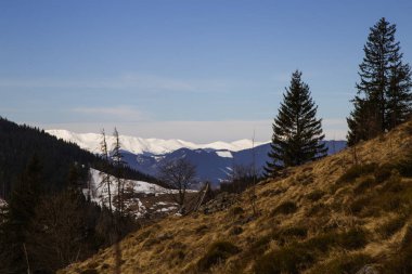 Kryvorivnya Köyü yakınındaki Hills gündüz göster