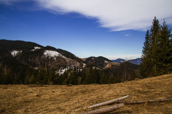 view hills near Kryvorivnya village at daytime