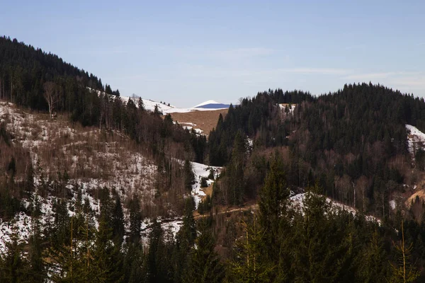 Malerischer Blick Auf Die Berge Der Nähe Des Dorfes Ryvorivnya — Stockfoto