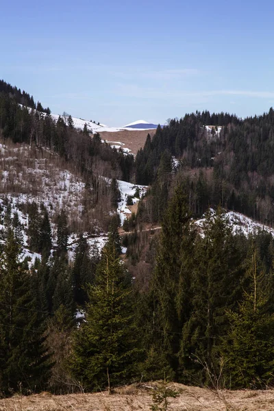 白天在 Kryvorivnya 村附近可以欣赏到山脉的美景 — 图库照片