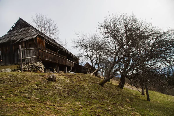 Traditionele Architectuur Van Kryvorivnya Dorp Oekraïne — Stockfoto