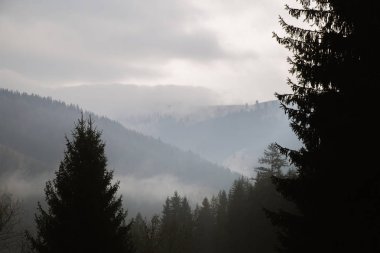 pitoresk peyzaj Krasnoyillya Village, Ukrayna