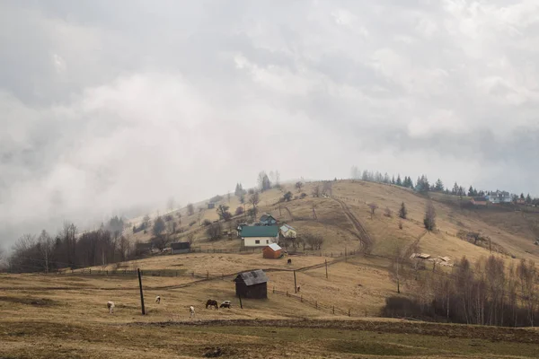 Scenic Landschap Krasnoyillya Village Oekraïne — Stockfoto