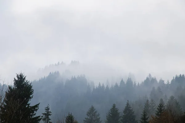 Natur Sköna Landskapet Krasnoyillya Village Ukraina — Stockfoto