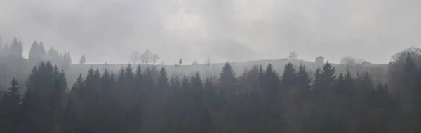 Natur Sköna Landskapet Krasnoyillya Village Ukraina — Stockfoto