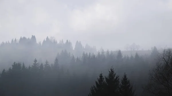 Paisagem Paisagística Krasnoyillya Aldeia Ucrânia — Fotografia de Stock