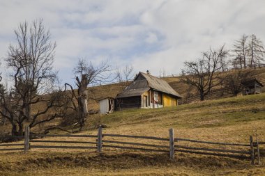 Synytsi, Verhovyna köyü yakınında bahar manzara