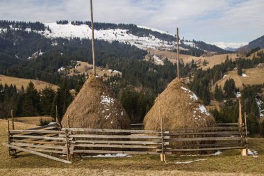 Synytsi, Verhovyna köyü yakınında bahar manzara