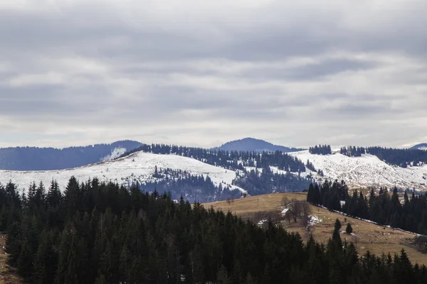 Vista Panorámica Las Montañas Cerca Synytsi Durante Día Pueblo Verhovyna — Foto de Stock