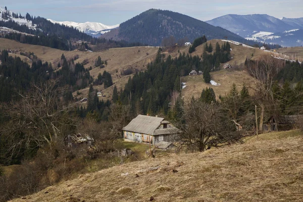 Lente Landschap Bij Synytsi Verhovyna Village — Stockfoto