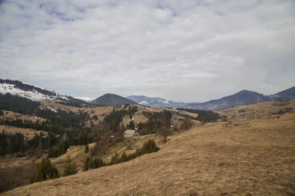 Spring Landscape Synytsi Verhovyna Village — Stock Photo, Image