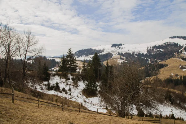 Paesaggio Primaverile Vicino Synytsi Villaggio Verhovyna — Foto Stock