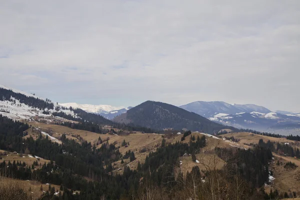 Paisaje Primavera Cerca Synytsi Pueblo Verhovyna — Foto de Stock