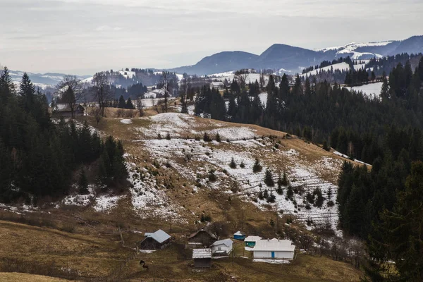 维霍维纳村 Synytsi 附近的春天景观 — 图库照片