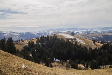 gün içinde Synytsi yakınlarındaki dağların doğal manzarası, Verhovyna Köyü
