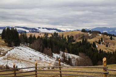 gün içinde Synytsi yakınlarındaki dağların doğal manzarası, Verhovyna Köyü