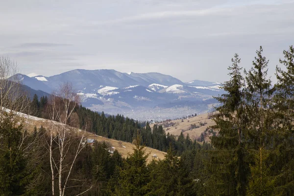 Spring Landscape Synytsi Verhovyna Village — Stock Photo, Image