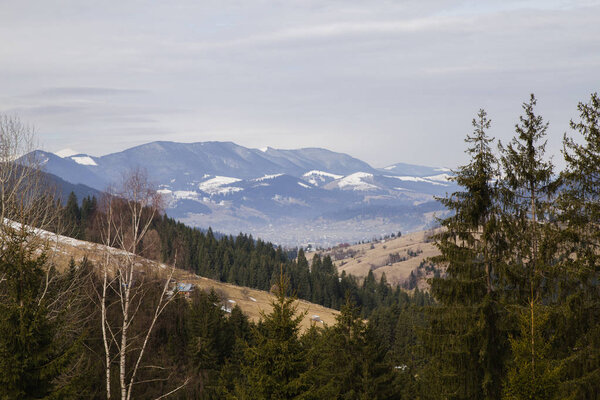 spring landscape near Synytsi, Verhovyna village