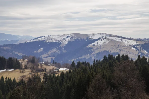 Scenic View Mountains Synytsi Daytime Verhovyna Village — Stock Photo, Image