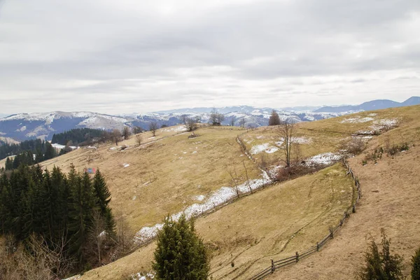 Malebný Pohled Hory Poblíž Synytsi Dne Obec Verhovyna — Stock fotografie