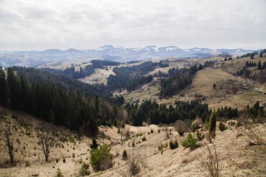 pitoresk peyzaj Krasnoyillya Village, Ukrayna