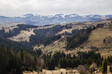 pitoresk peyzaj Krasnoyillya Village, Ukrayna